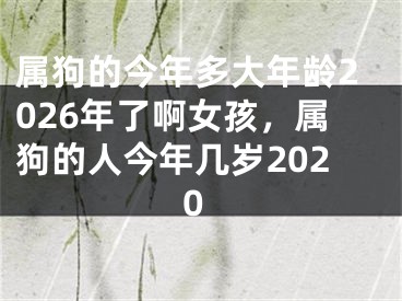 属狗的今年多大年龄2026年了啊女孩，属狗的人今年几岁2020