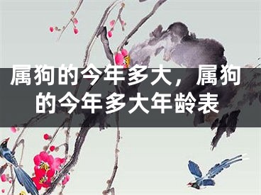 属狗的今年多大，属狗的今年多大年龄表