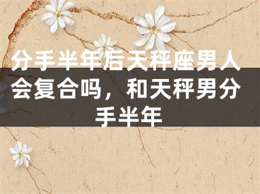 分手半年后天秤座男人会复合吗,和天秤男分手半年