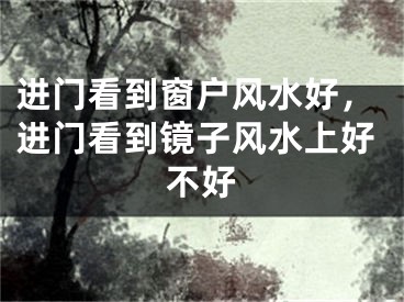 进门看到窗户风水好,进门看到镜子风水上好不好