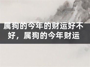 属狗的今年的财运好不好，属狗的今年财运