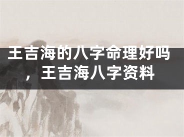王吉海的八字命理好吗，王吉海八字资料