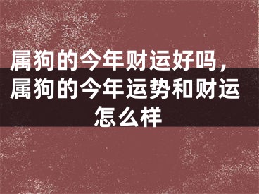 属狗的今年财运好吗，属狗的今年运势和财运怎么样