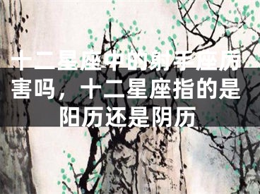 十二星座中的射手座厉害吗,十二星座指的是阳历还是阴历