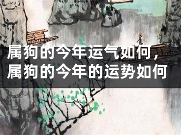 属狗的今年运气如何，属狗的今年的运势如何