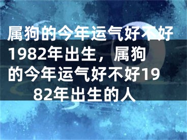属狗的今年运气好不好1982年出生，属狗的今年运气好不好1982年出生的人
