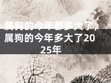 属狗的今年都多大了，属狗的今年多大了2025年