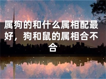 属狗的和什么属相配最好，狗和鼠的属相合不合
