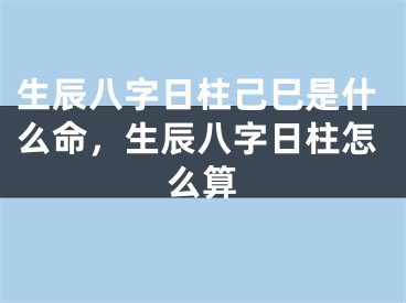 生辰八字日柱己巳是什么命，生辰八字日柱怎么算