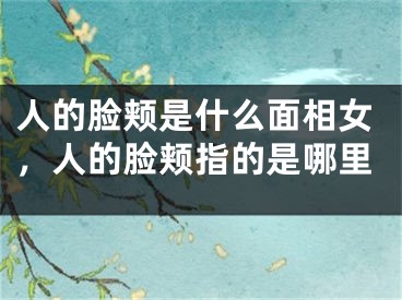 人的脸颊是什么面相女，人的脸颊指的是哪里
