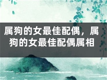 属狗的女最佳配偶，属狗的女最佳配偶属相