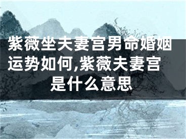紫薇坐夫妻宫男命婚姻运势如何,紫薇夫妻宫是什么意思