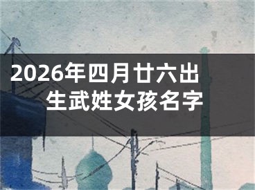 2026年四月廿六出生武姓女孩名字