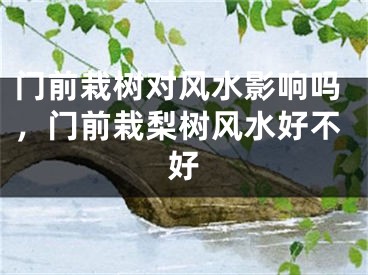 门前栽树对风水影响吗，门前栽梨树风水好不好