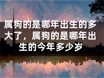 属狗的是哪年出生的多大了，属狗的是哪年出生的今年多少岁