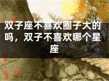 双子座不喜欢圈子大的吗，双子不喜欢哪个星座
