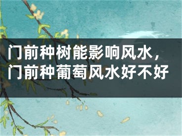 门前种树能影响风水，门前种葡萄风水好不好