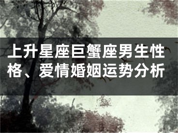 上升星座巨蟹座男生性格、爱情婚姻运势分析