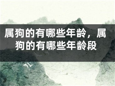 属狗的有哪些年龄，属狗的有哪些年龄段