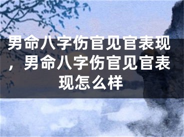 男命八字伤官见官表现，男命八字伤官见官表现怎么样