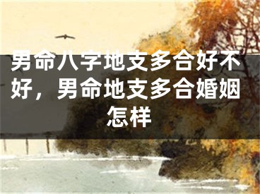 男命八字地支多合好不好，男命地支多合婚姻怎样