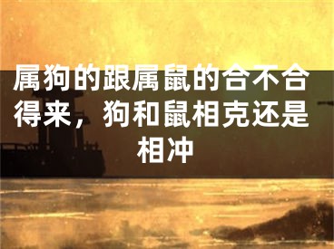 属狗的跟属鼠的合不合得来，狗和鼠相克还是相冲