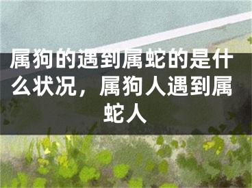 属狗的遇到属蛇的是什么状况,属狗人遇到属蛇人