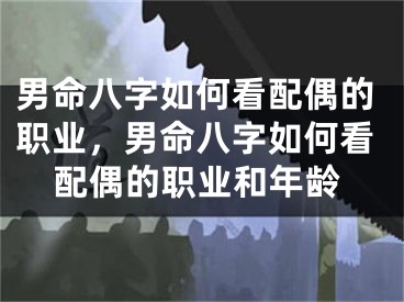男命八字如何看配偶的职业，男命八字如何看配偶的职业和年龄