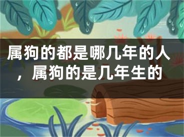 属狗的都是哪几年的人，属狗的是几年生的