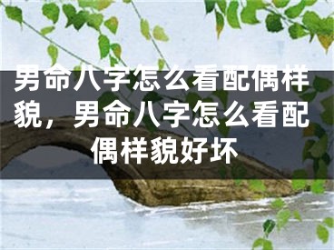 男命八字怎么看配偶样貌，男命八字怎么看配偶样貌好坏