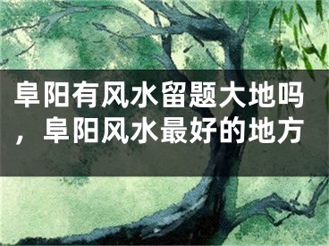 阜阳有风水留题大地吗，阜阳风水最好的地方