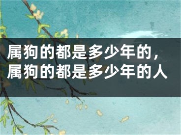 属狗的都是多少年的，属狗的都是多少年的人