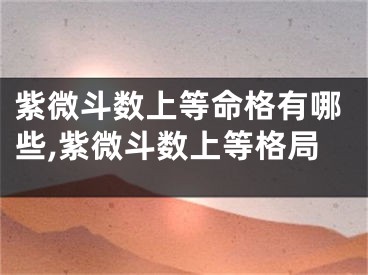 紫微斗数上等命格有哪些,紫微斗数上等格局