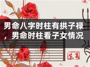 男命八字时柱有拱子禄,男命时柱看子女情况