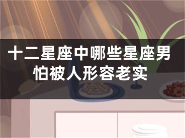 十二星座中哪些星座男怕被人形容老实