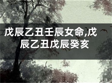 戊辰乙丑壬辰女命,戊辰乙丑戊辰癸亥