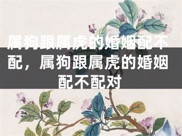 属狗跟属虎的婚姻配不配，属狗跟属虎的婚姻配不配对