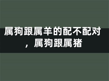 属狗跟属羊的配不配对，属狗跟属猪