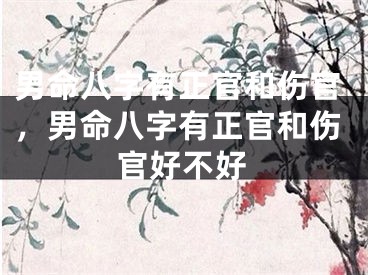 男命八字有正官和伤官，男命八字有正官和伤官好不好