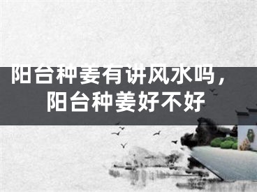 阳台种姜有讲风水吗，阳台种姜好不好