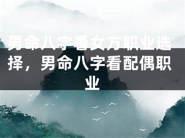 男命八字看女方职业选择，男命八字看配偶职业
