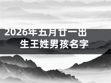 2026年五月廿一出生王姓男孩名字