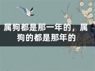 属狗都是那一年的，属狗的都是那年的