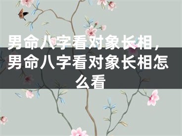 男命八字看对象长相，男命八字看对象长相怎么看