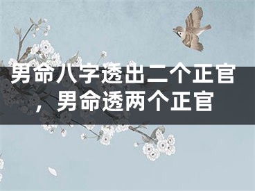 男命八字透出二个正官，男命透两个正官