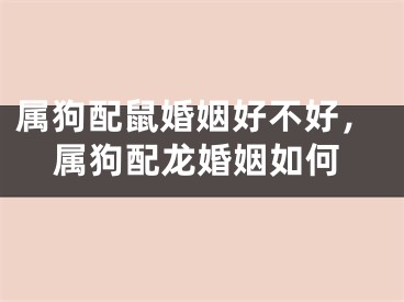 属狗配鼠婚姻好不好，属狗配龙婚姻如何