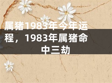 属猪1983年今年运程，1983年属猪命中三劫