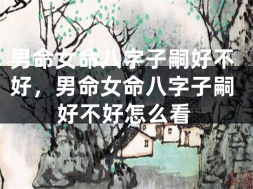 男命女命八字子嗣好不好，男命女命八字子嗣好不好怎么看