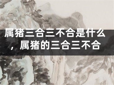 属猪三合三不合是什么，属猪的三合三不合