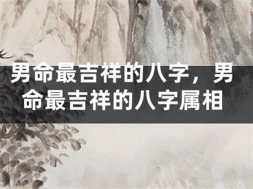 男命最吉祥的八字，男命最吉祥的八字属相
